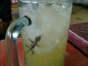 Hii Jijik! Ada Cicak hingga Kunci Rumah di Makanan Ini Hii Jijik! Ada Cicak hingga Kunci Rumah di Makanan Ini