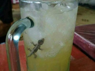 Hii Jijik! Ada Cicak hingga Kunci Rumah di Makanan Ini
