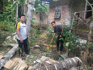 Warga Trenggalek Tewas Saat Tebang Pohon Kelapa