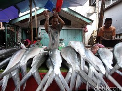 RI Mau Genjot Ekspor Ikan, Ini Syarat Pengusaha