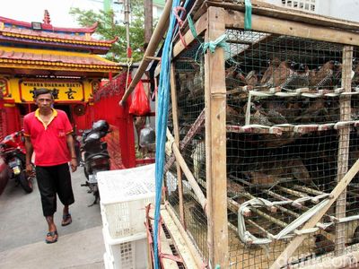 Pedagang Burung Pipit Mulai Gelar Lapak Jelang Imlek