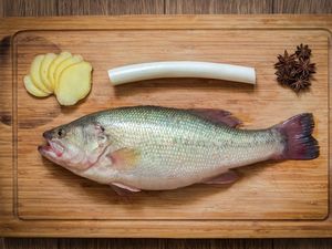 Manfaat DNA Salmon untuk Kecantikan Manfaat DNA Salmon untuk Kecantikan