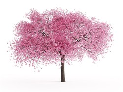 Tes Kepribadian: Dari 4 Gambar Pemandangan, Mana Paling Menarik?