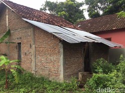 Nestapa Nenek Rubingah, Ditendangi-Diseret di Pasar Gegara Curi Mangga