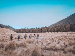 Foto: Syahdu di Semeru, Ranu Kumbolo dan Oro-oro Ombo Foto: Syahdu di Semeru, Ranu Kumbolo dan Oro-oro Ombo