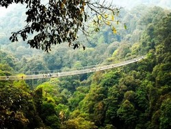 Deg-degan! Ini Jembatan Gantung Terpanjang di Indonesia