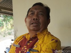 Puluhan Kambing di Pacitan Mati Misterius, Diterkam Serigala?