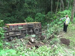 Jalan di Pasuruan Ambles, Truk Muat Kayu Sengon Jatuh ke Jurang