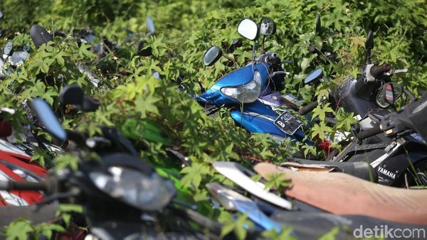 Nasib Ratusan Motor dan Mobil Sitaan Polisi di Teluk Pucung