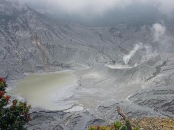 Pengunjung-Pedagang Diminta Waspada Erupsi Freaktik Tangkuban Perahu