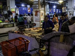 Heboh Virus Corona Wuhan, Pasar Ini Jual Koala dan Tikus untuk Dimakan