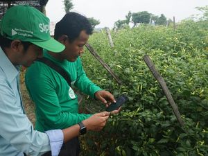 Pemanfaatan Teknologi untuk Pertanian