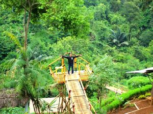 Foto: Kebun Teh nan Instagramable di Sumedang