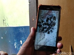 3 Kisah Tragis Korban Tewas Dipatuk Ular Welang-Weling dari Tangerang-Bandung