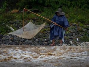 Mencari Ikan di Sungai Meluap Mencari Ikan di Sungai Meluap