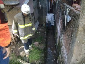 Petugas Damkar Lakukan Penyisiran Rumah Bocah yang Tewas Dipatuk Ular Petugas Damkar Lakukan Penyisiran Rumah Bocah yang Tewas Dipatuk Ular