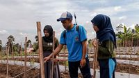 Berdayakan Petani Boyolali Melalui Pestisida Organik