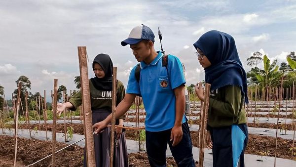 Berdayakan Petani Boyolali Melalui Pestisida Organik