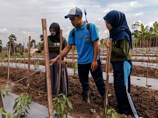 Berdayakan Petani Boyolali Melalui Pestisida Organik