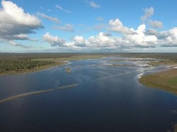 Kebakaran Hutan Ungkap Sistem Akuakultur Kuno Australia