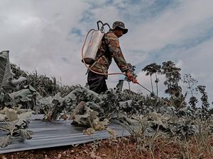 Kementan Kembangkan Sistem Pelaporan Online untuk Kendalikan Hama Kementan Kembangkan Sistem Pelaporan Online untuk Kendalikan Hama