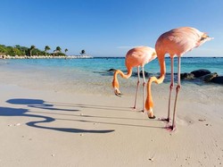 Ini Juara Foto Traveling 2019