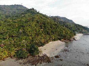 Pantai Mutiara Trenggalek Memang Secantik Namanya Pantai Mutiara Trenggalek Memang Secantik Namanya
