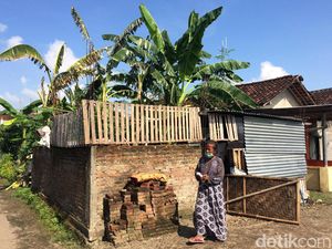 Akhir Perjalanan Kasus Nenek yang Ditendang-Diseret di Pasar Sleman Akhir Perjalanan Kasus Nenek yang Ditendang-Diseret di Pasar Sleman