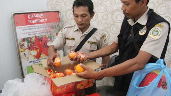 Cegah Virus Corona, Pengawasan Buah Impor Diperketat