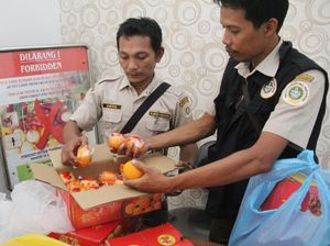 Cegah Virus Corona, Pengawasan Buah Impor Diperketat