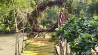 Foto: Tempat Wisata Selfie Baru di Ciamis