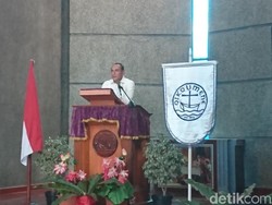 Gubsu Edy Curhat soal Wabah Kolera Babi: Saya Sampai Ditanya Pak Jokowi