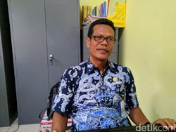 Saat Petani Ponorogo Andalkan Burung Hantu untuk Basmi Tikus
