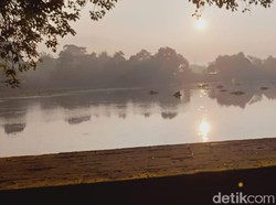 Heboh Ikan Mirip Putri Duyung di Kolam Peninggalan Majapahit