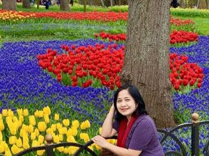 Emirgan Korusu, Taman Bunga Tulip Terbesar di Turki