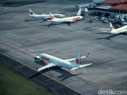 Berita dan Informasi Syarat naik pesawat Terkini dan Terbaru Hari ini