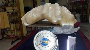 Dikira Cuma Sampah Ternyata Barang Berharga