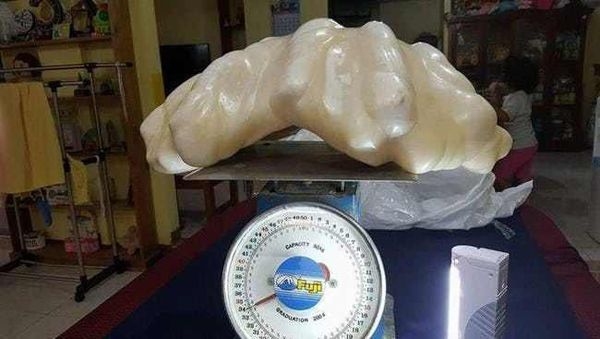 Dikira Cuma Sampah Ternyata Barang Berharga