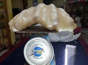 Dikira Cuma Sampah Ternyata Barang Berharga