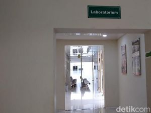 Fakta Virus Corona di Indonesia, Belum Ada Warga yang Positif Terkena