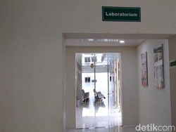 Fakta Virus Corona di Indonesia, Belum Ada Warga yang Positif Terkena