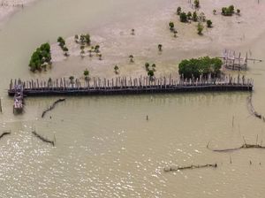 Tanah Musnah di Pesisir Semarang-Demak Bikin Nelayan Waswas Tak Bisa Melaut Tanah Musnah di Pesisir Semarang-Demak Bikin Nelayan Waswas Tak Bisa Melaut