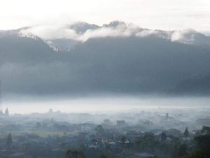 Foto: Gayo Tak Hanya Kopi