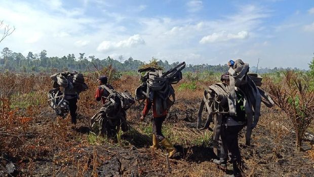 Hampir 2 Minggu, Karhutla di Pulau Rupat Riau Belum Padam