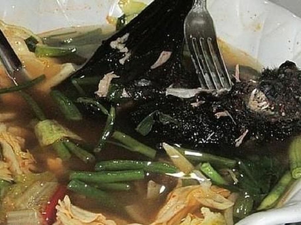 Dikaitkan Virus Corona : Sup Kelelawar dan Kuliner Wuhan yang Mantul