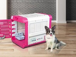 Kurungan Hewan Peliharaan di Maskapai Ini Canggih dan Mahal