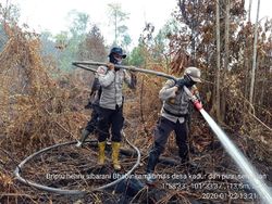 Hampir 2 Minggu, Karhutla di Pulau Rupat Riau Belum Bisa Dipadamkan