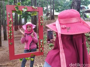 Foto: Hutan Pinus Instagramable dari Cianjur Foto: Hutan Pinus Instagramable dari Cianjur