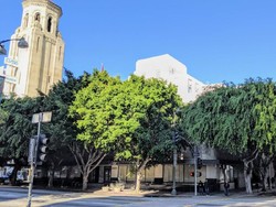 1 WN Amerika Terjangkit Corona di Orange County, KJRI LA Pantau Kondisi WNI