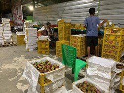 Geger Virus Corona, Ekspor Manggis Sumbar Terganjal